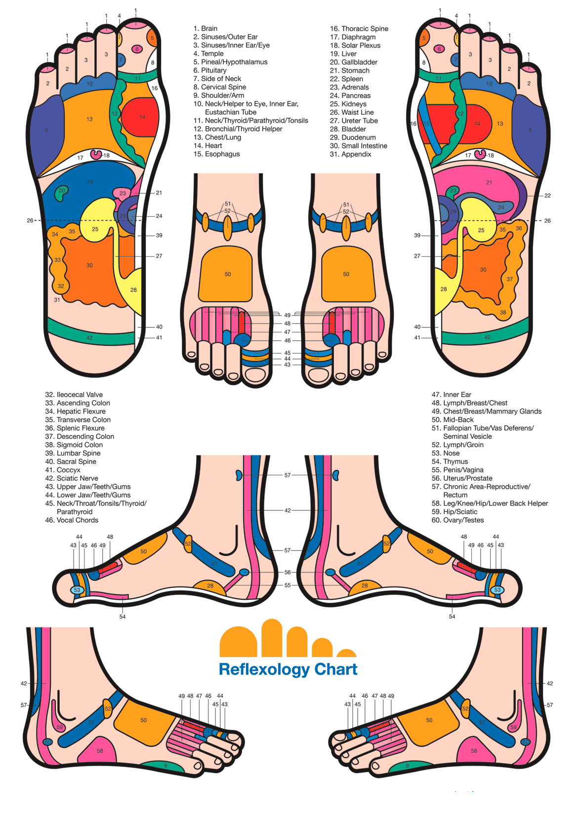 whole-foot-reflex-chart-reflexology-reflexology-foot-chart